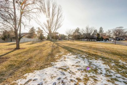 Grassy field during late winter/ early spring
